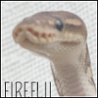 fireflii