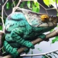 One World Exotica
