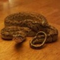boondocksnakes