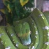 Snakesmilesformiles