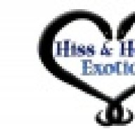 HissHerpsExotics