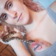 Cassiti