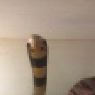 AidanDaSnake