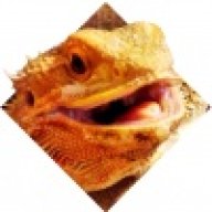 GnarlyDragons