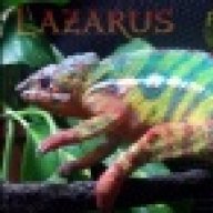 PARPAN5