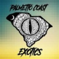 PalmetttoCoastExotics