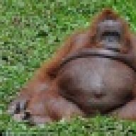 SedentaryApe