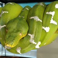 LozoyaTA
