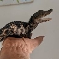 xLoveWithScalesx