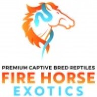 FireHorseExotics