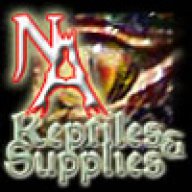 nareptiles