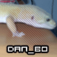 dan_bo