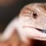 RmeDad