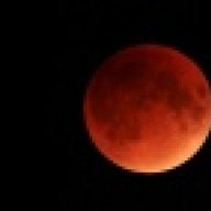 BloodMoonDragons