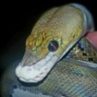Hell_Creek_Reptile_Lab
