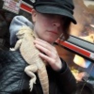 Bearded DragonLover25
