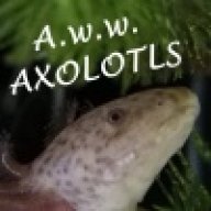 agriosfire10