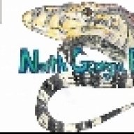 NorthGaExotics