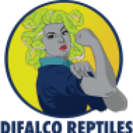 dominiquedifalco