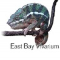 East_Bay_Vivarium