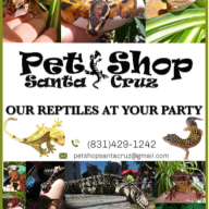 petshopsantacruz