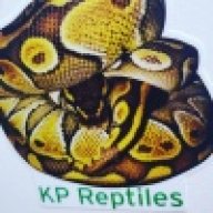 KPReptiles