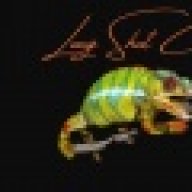 Long Shot Chameleons