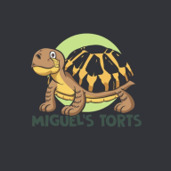 mrmruano