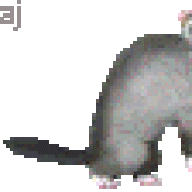 mishy