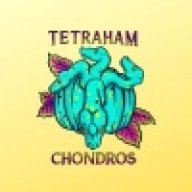 TetraHamC
