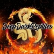 DeepDarkReptiles