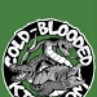 Cold Blooded Kingdom