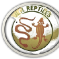 Jay@jlclreptiles