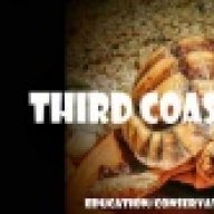 Third Coast Reptile
