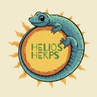 HeliosHerps