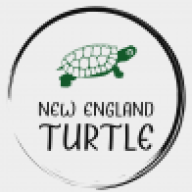 NewEnglandTurtle