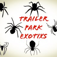 Trailerparkexotixs