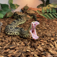 VenomDoc