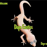 Dope Exotics