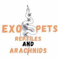 exopetsss