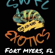 SWFL.Exotics&More