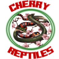 johncherryii