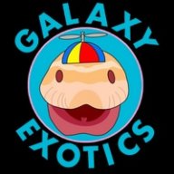 Galaxy Exotics