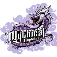 Mythical Reptiles