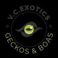 v.c.exotics