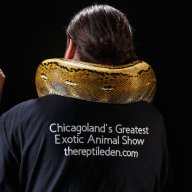 thereptileden