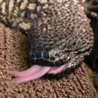 TheSmokingLizard
