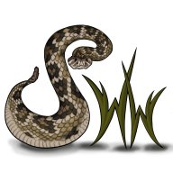 jackswildworld