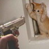 Cyberkitten36
