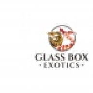 Glass Box Exotics